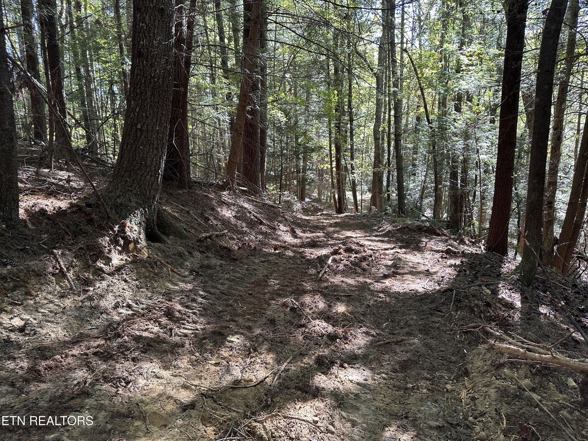 186 Cave Branch Road Allardt TN 38504