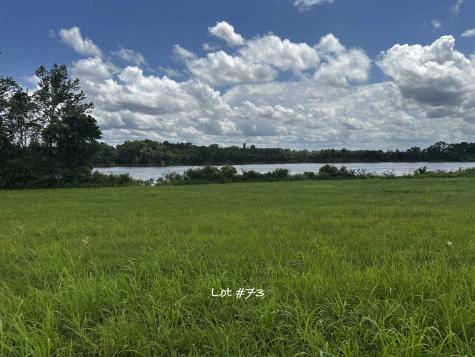 0 Catfish Lane Crump TN 38327