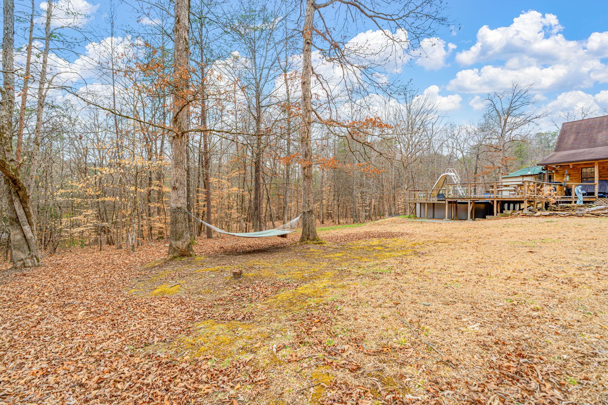 113 Mcspadden Branch Road Vonore TN 37885