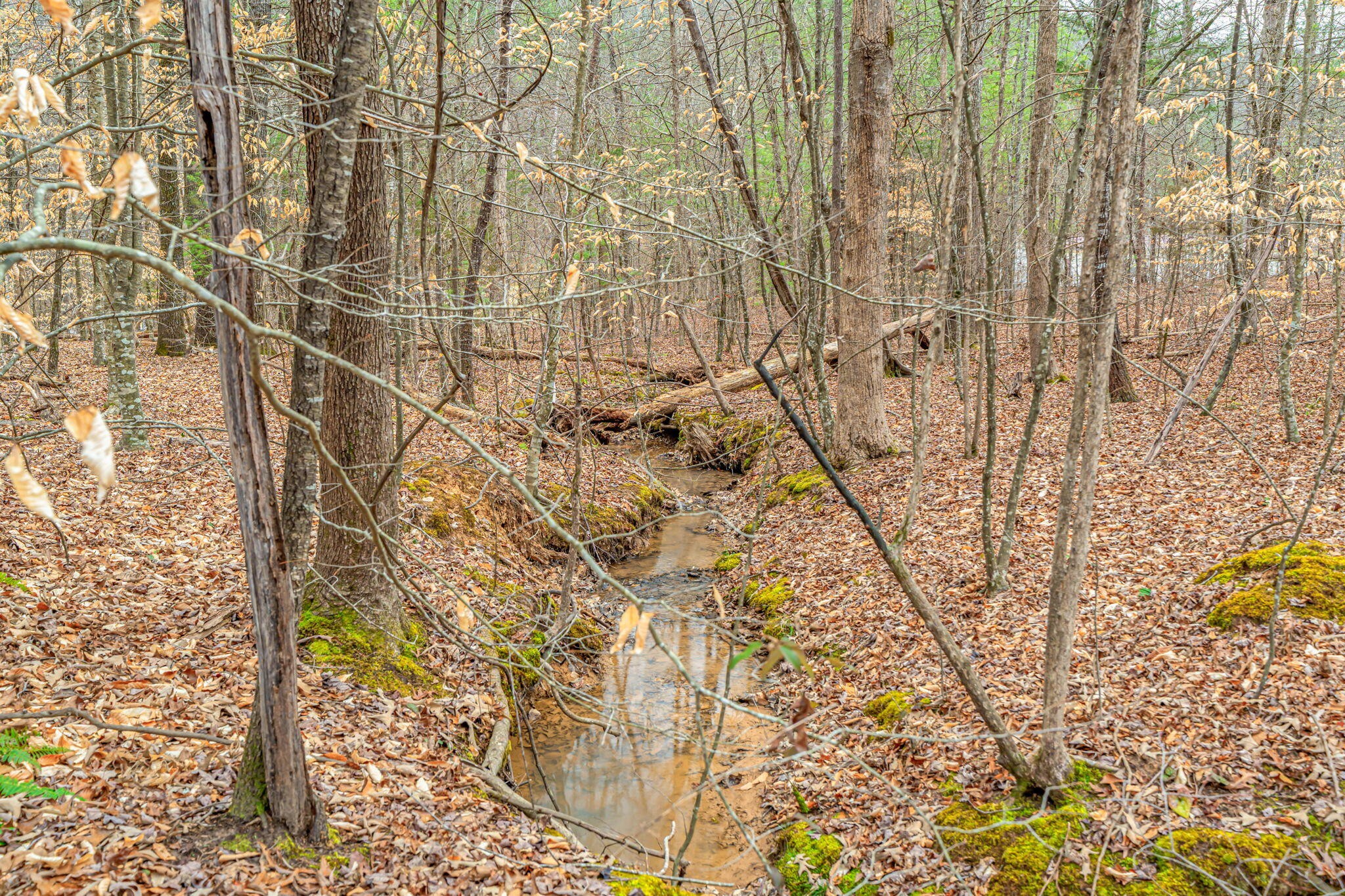 113 Mcspadden Branch Road Vonore TN 37885