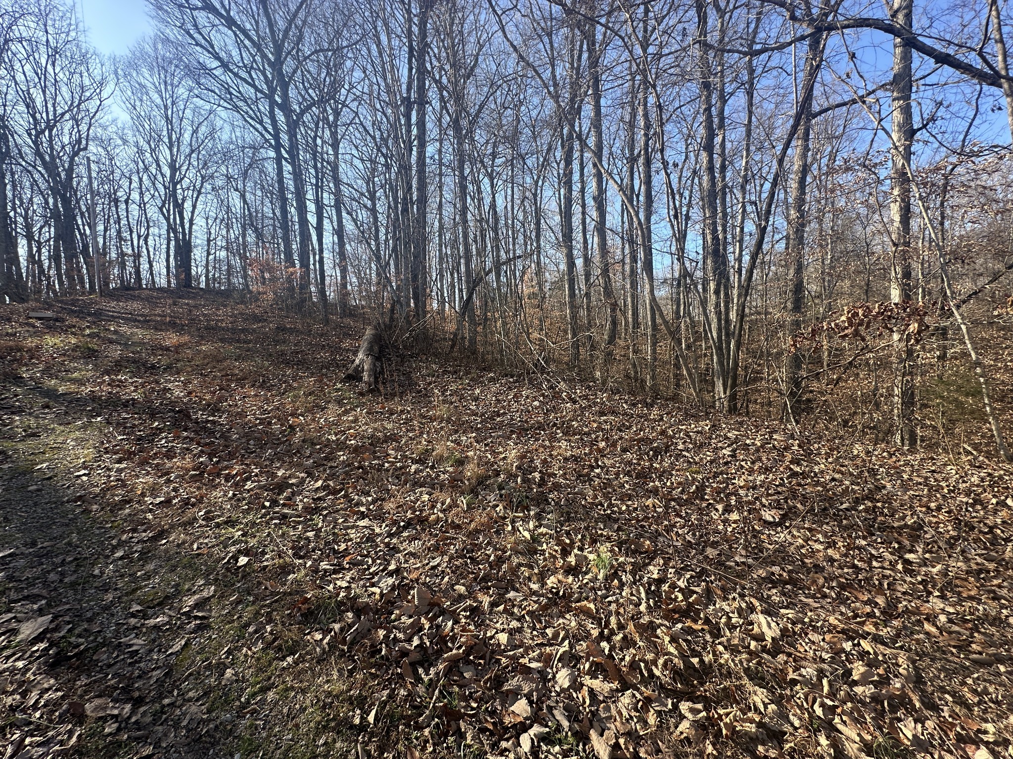 0 Highland Place Smithville TN 37166
