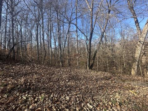 0 Highland Place Smithville TN 37166