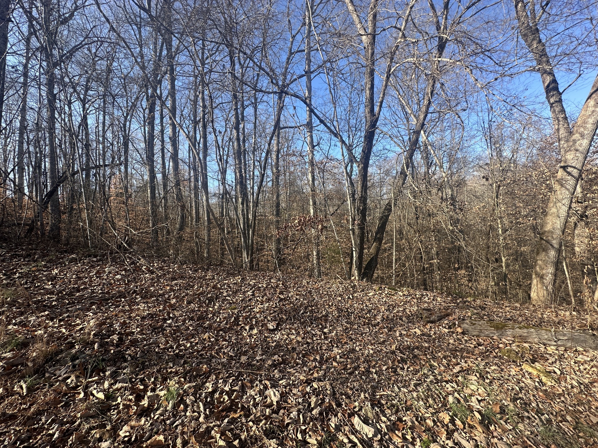 0 Highland Place Smithville TN 37166