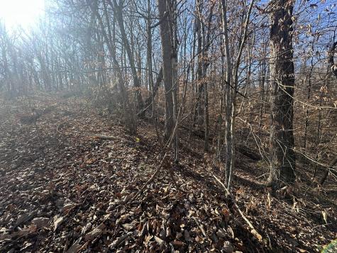 0 Highland Place Smithville TN 37166