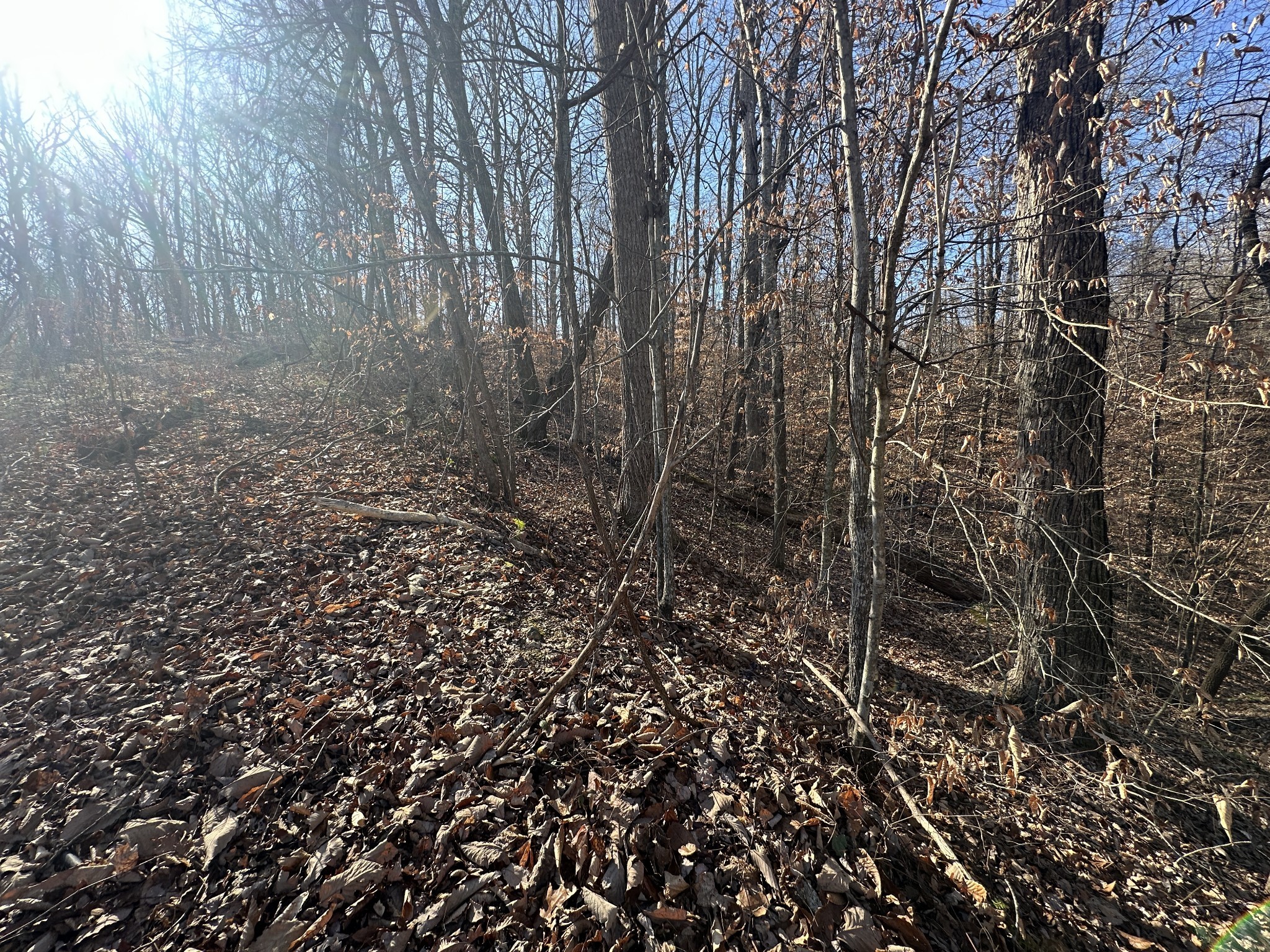 0 Highland Place Smithville TN 37166