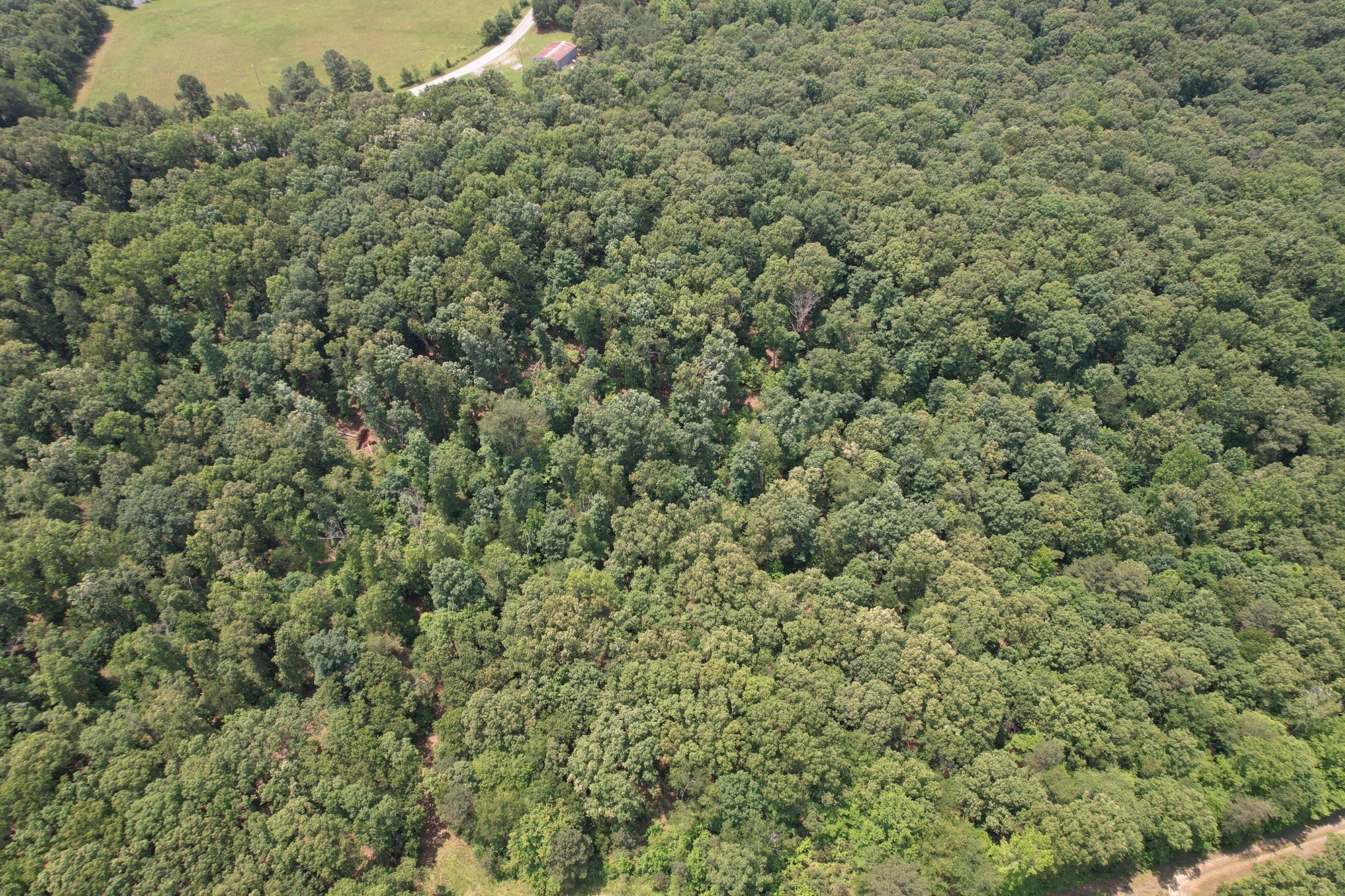 0 Webb Road Extension Summertown TN 38483