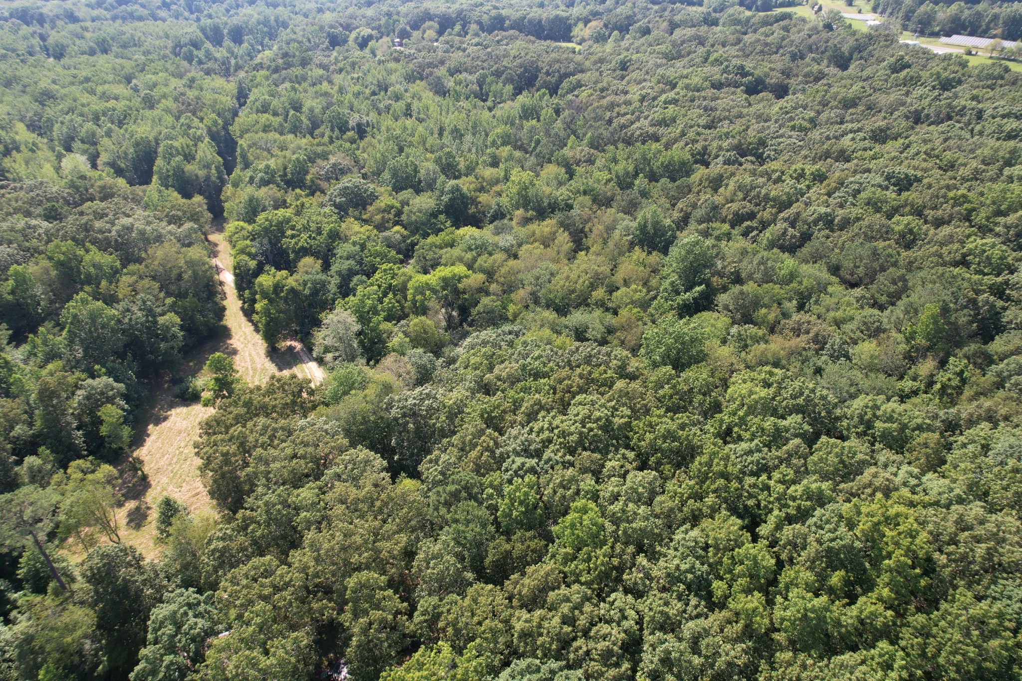 0 Webb Road Extension Summertown TN 38483