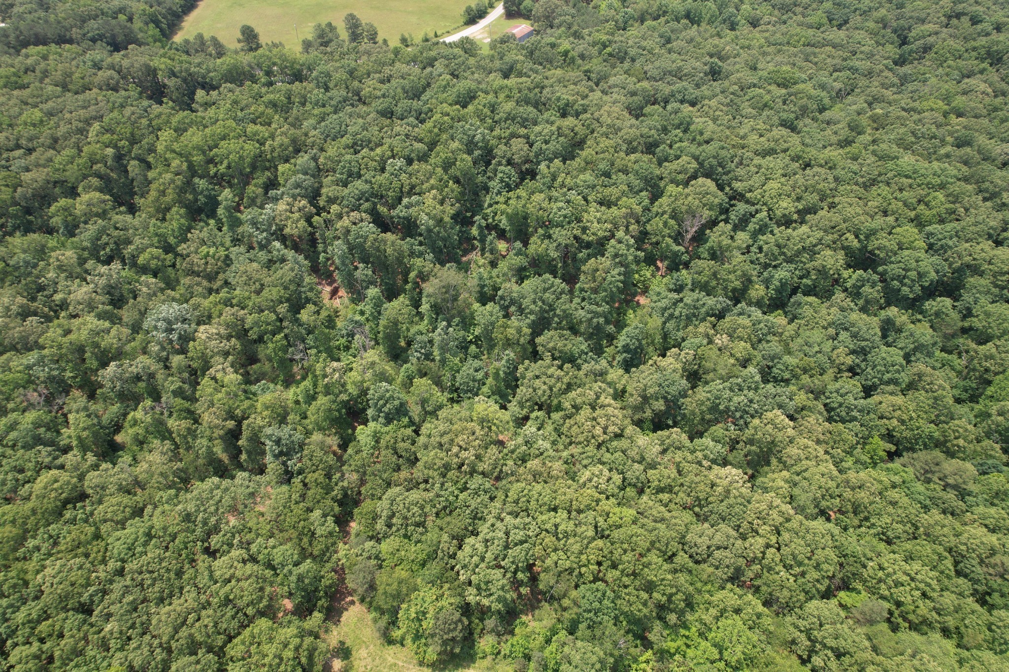 0 Webb Road Extension Summertown TN 38483
