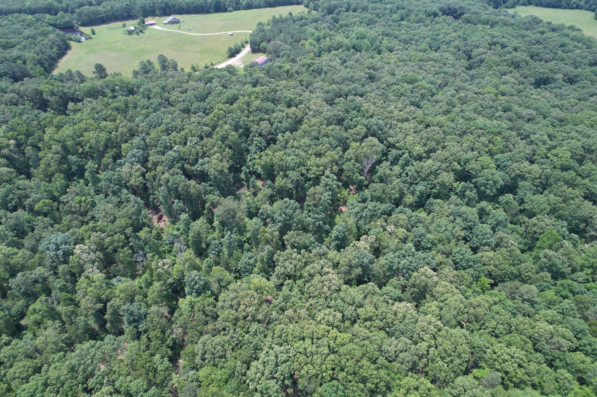 0 Webb Road Extension Summertown TN 38483