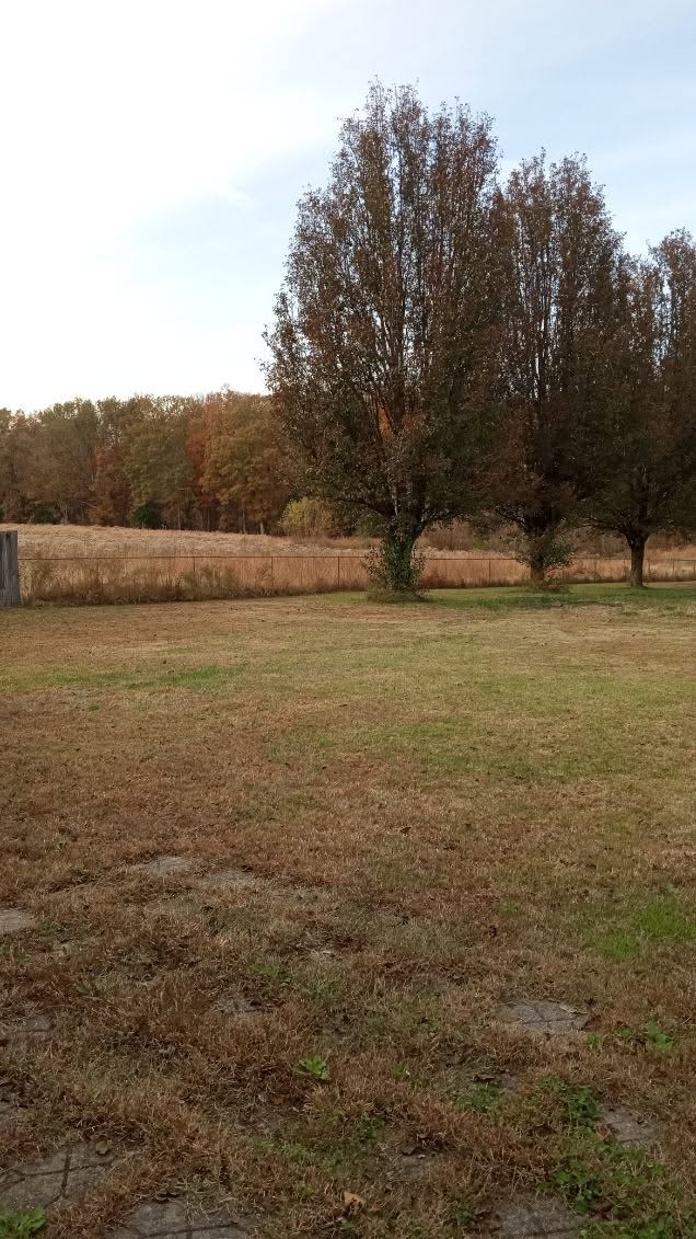 650 Point Mason Road Big Sandy TN 38221