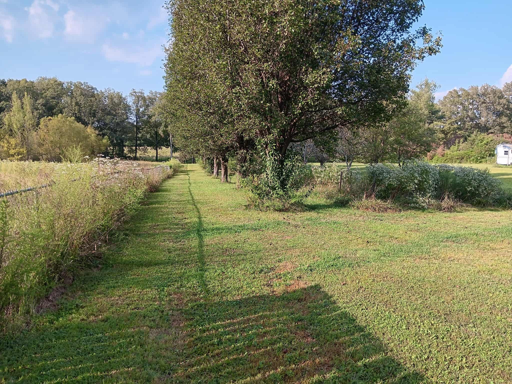 650 Point Mason Road Big Sandy TN 38221