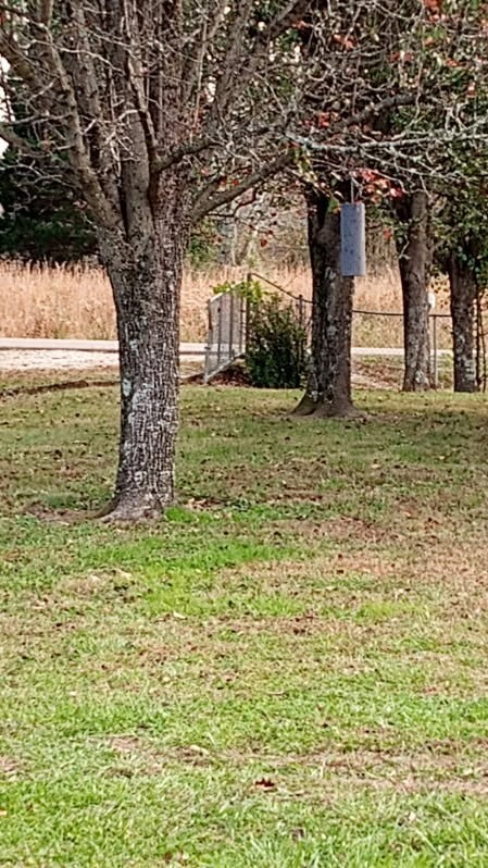 650 Point Mason Road Big Sandy TN 38221