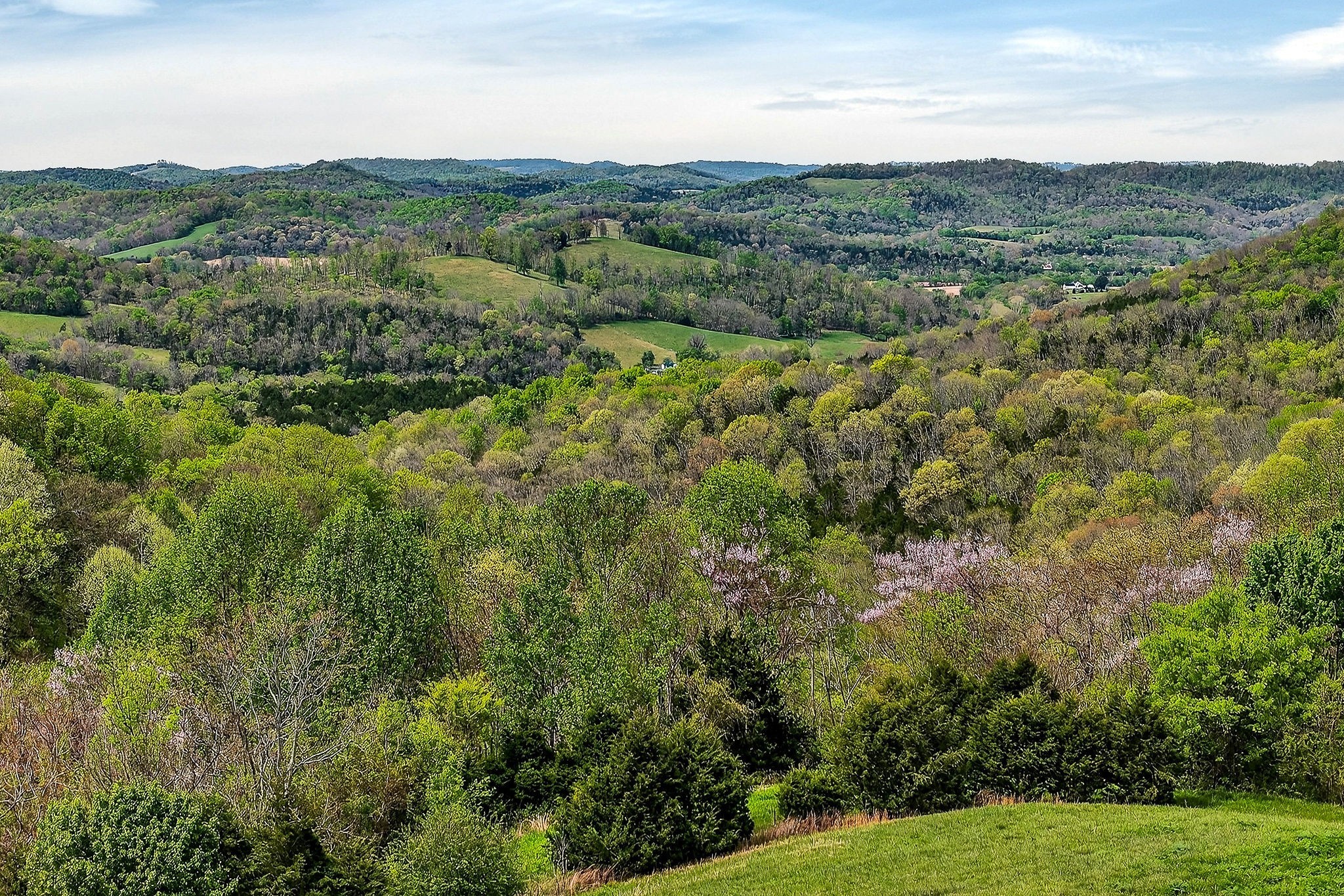 5175 Dale Ridge Road Liberty TN 37095