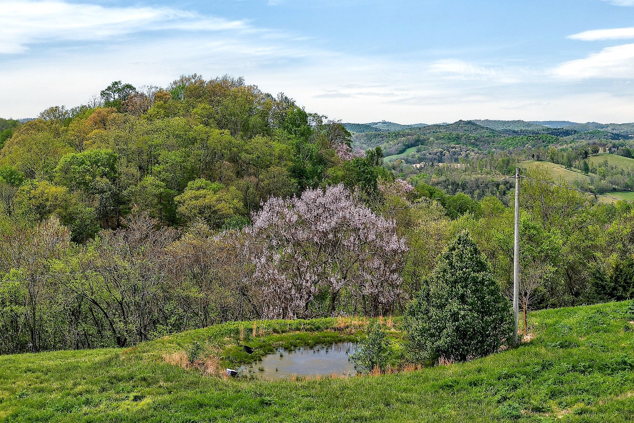 5175 Dale Ridge Road Liberty TN 37095