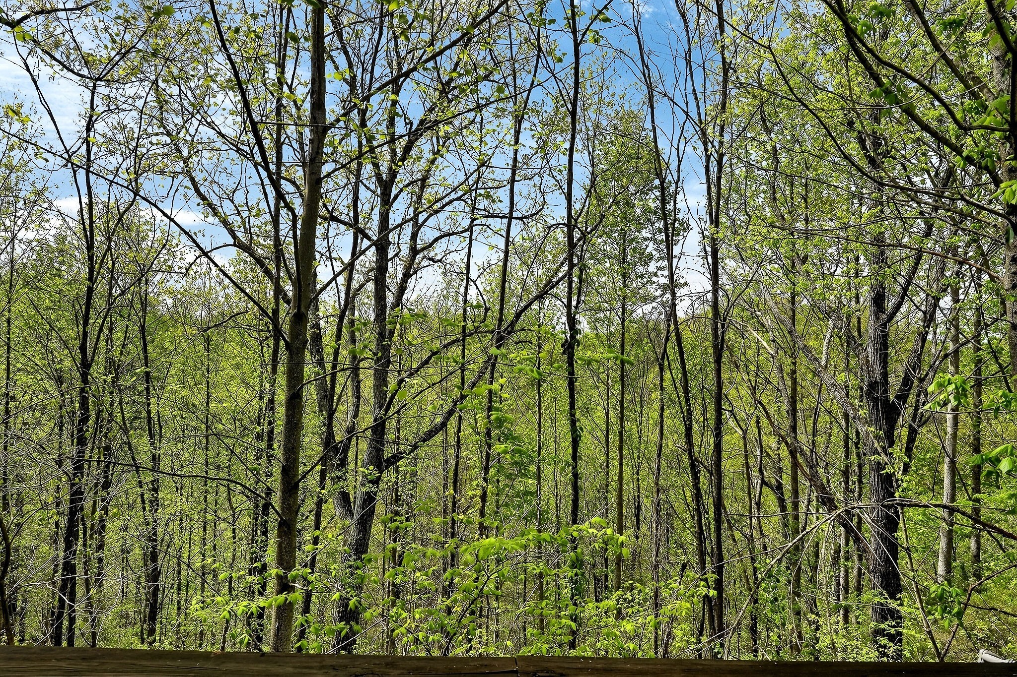 5175 Dale Ridge Road Liberty TN 37095