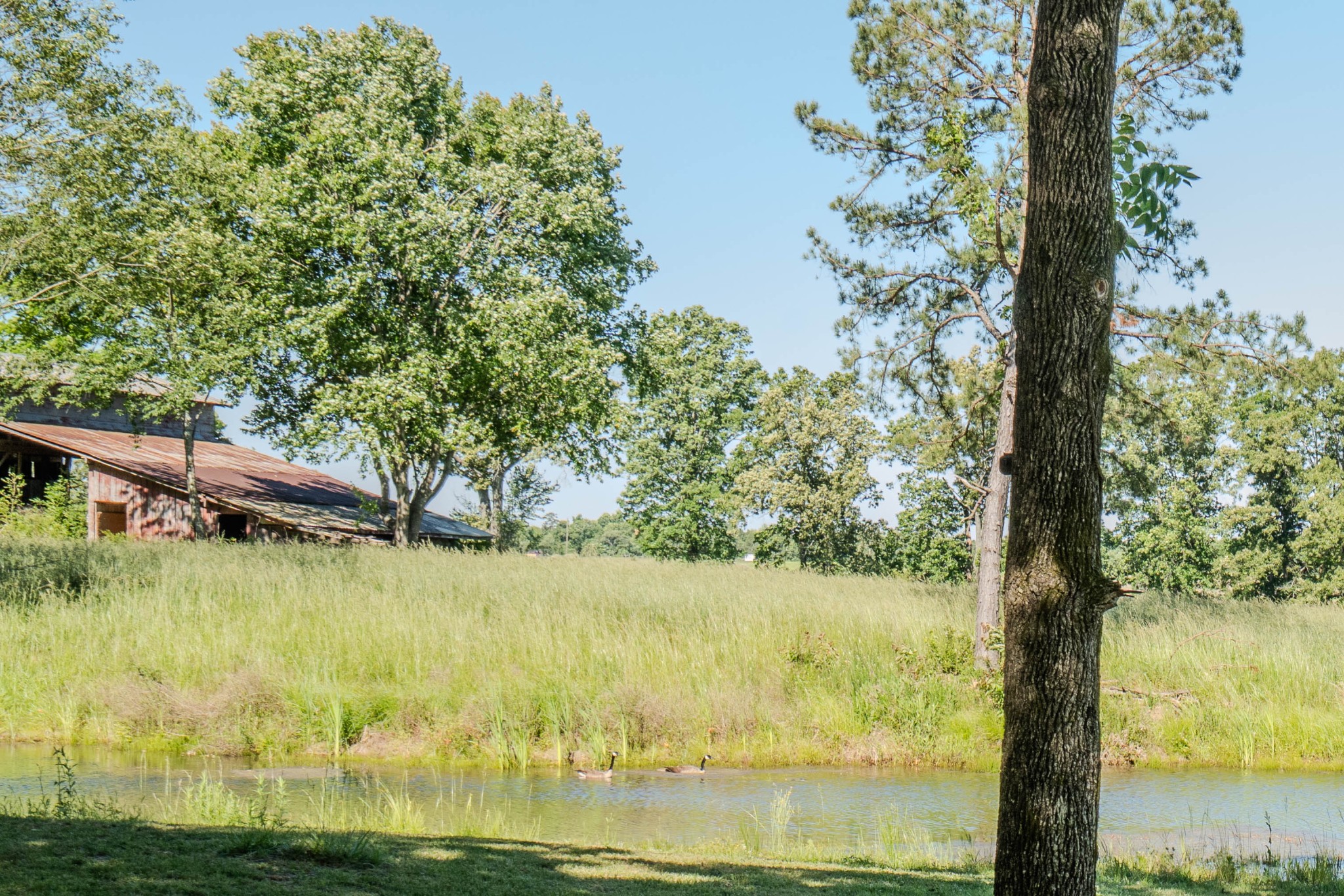 5780 Berry Road Cypress Inn TN 38452