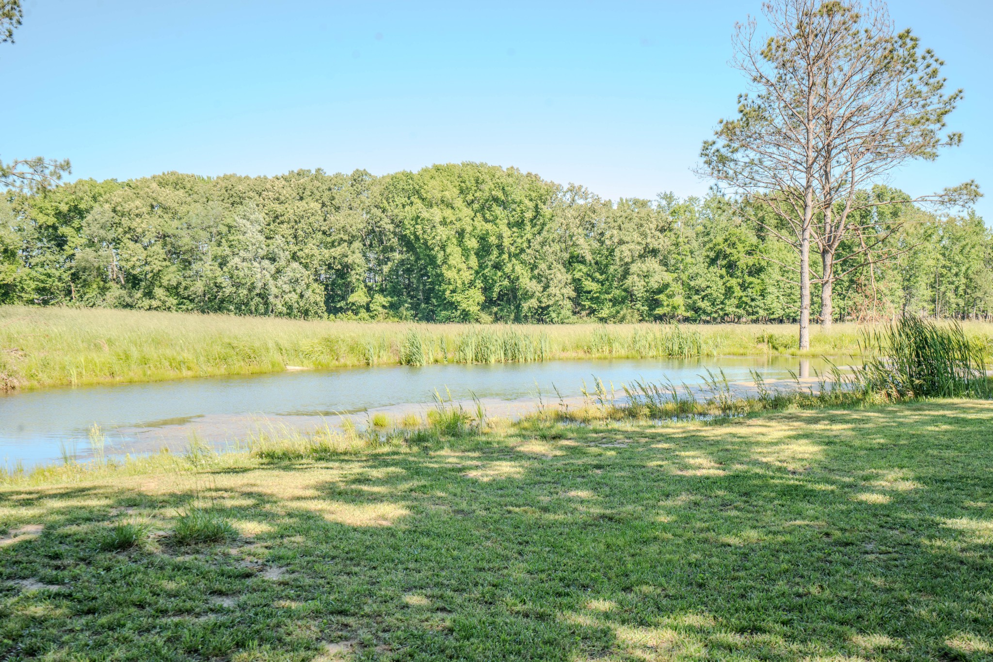 5780 Berry Road Cypress Inn TN 38452