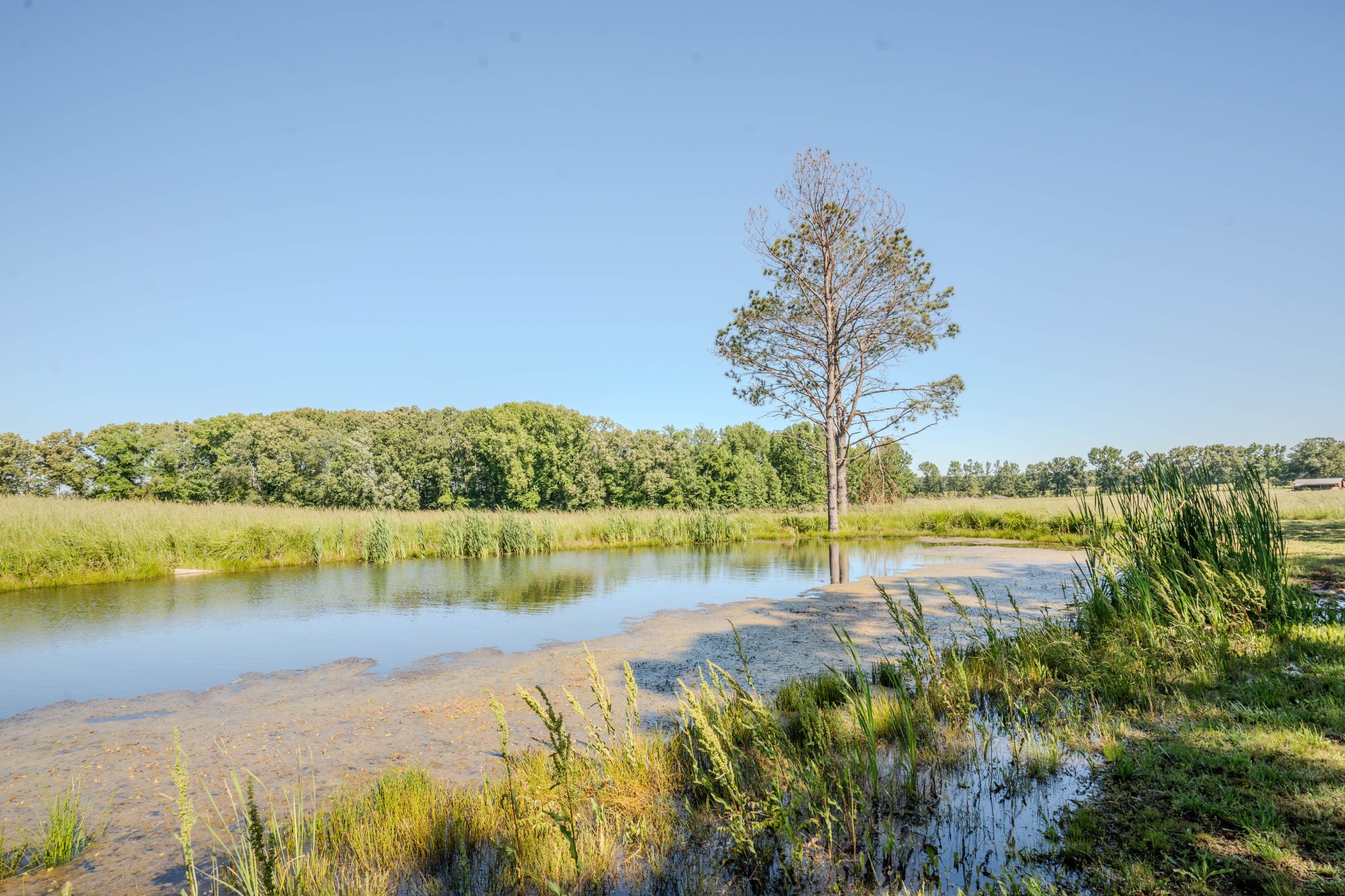 5780 Berry Road Cypress Inn TN 38452