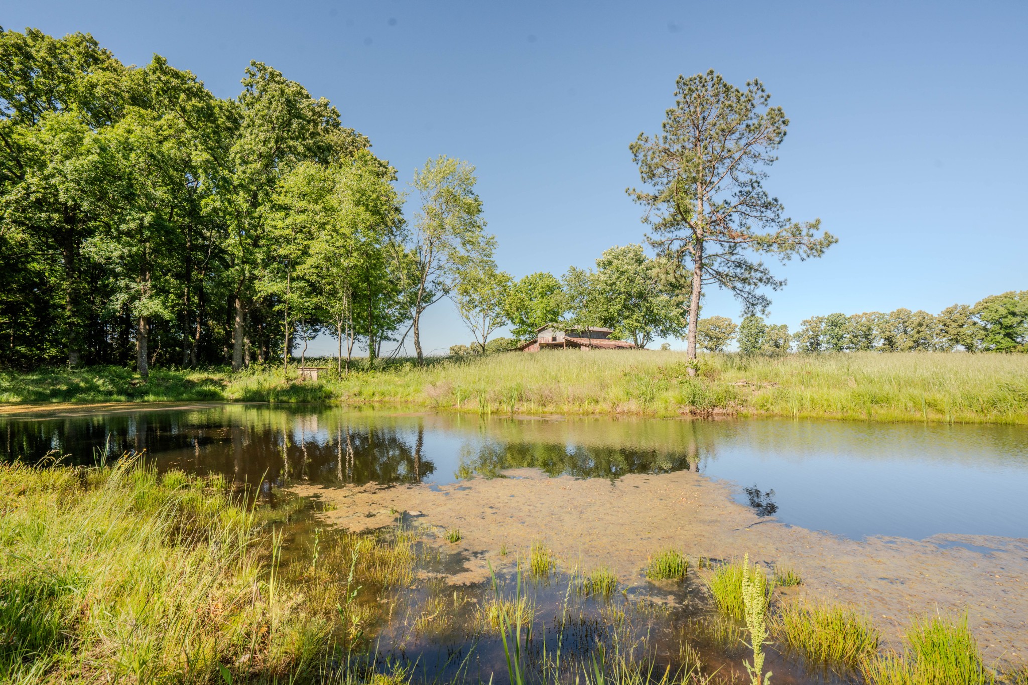 5780 Berry Road Cypress Inn TN 38452