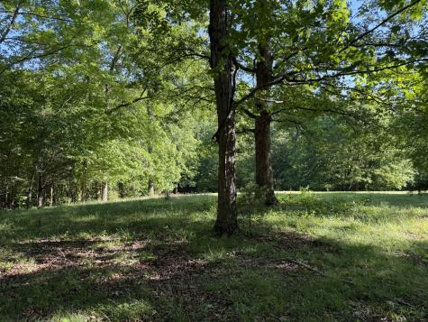 0 Poplar Grove Road Mc Ewen TN 37101