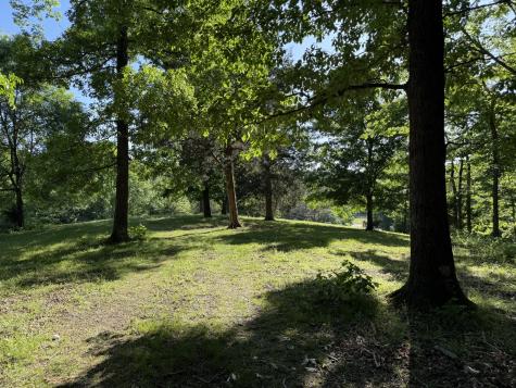 0 Poplar Grove Road Mc Ewen TN 37101