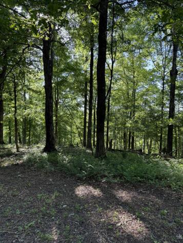 0 Poplar Grove Road Mc Ewen TN 37101