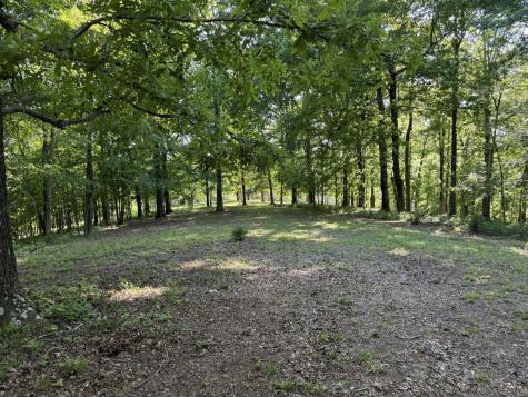 0 Poplar Grove Road Mc Ewen TN 37101