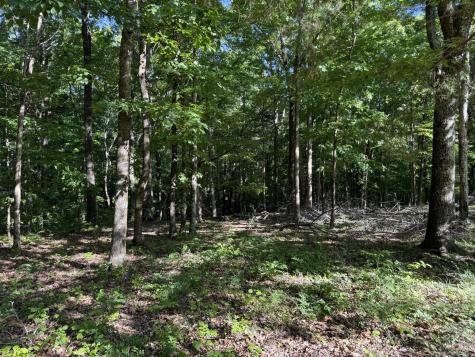 0 Poplar Grove Road Mc Ewen TN 37101