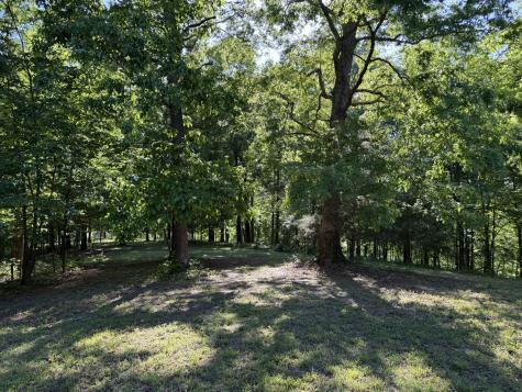 0 Poplar Grove Road Mc Ewen TN 37101