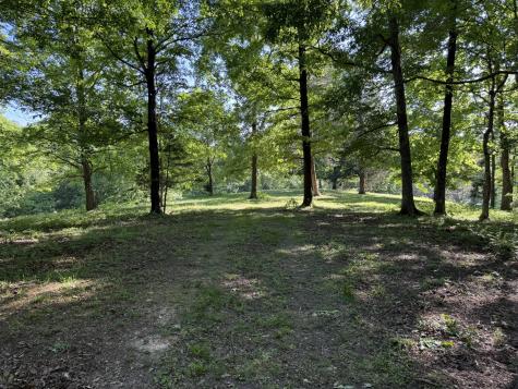 0 Poplar Grove Road Mc Ewen TN 37101