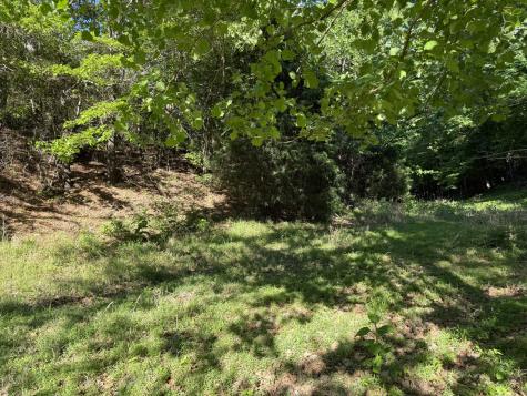 0 Poplar Grove Road Mc Ewen TN 37101