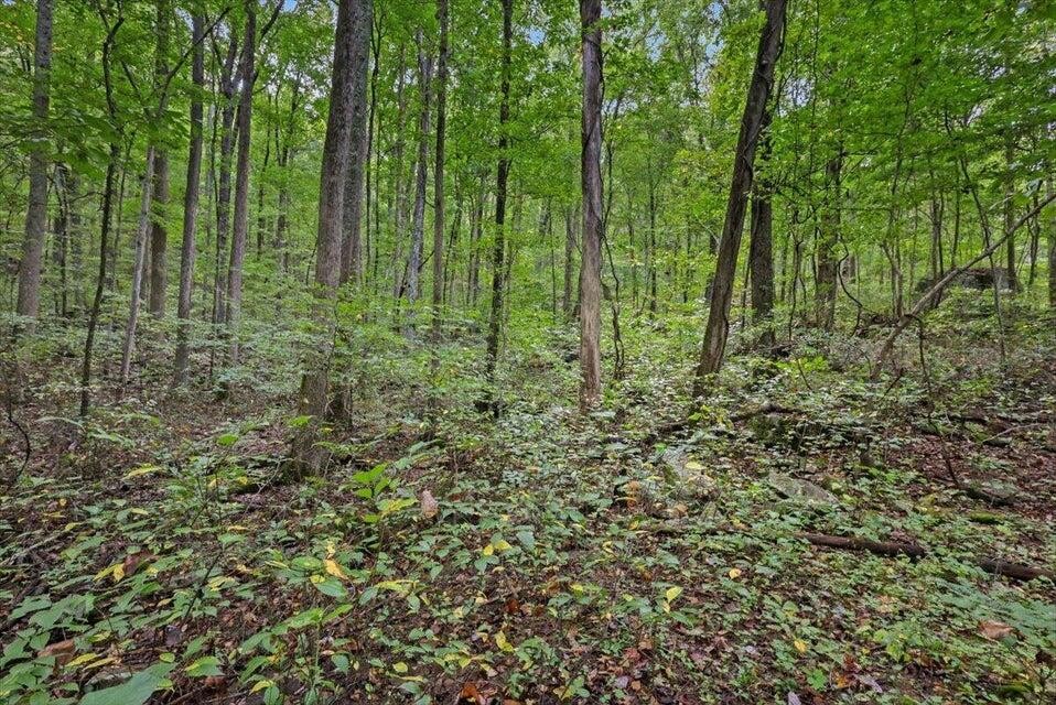 0 Highway 27 Chattanooga TN 37405