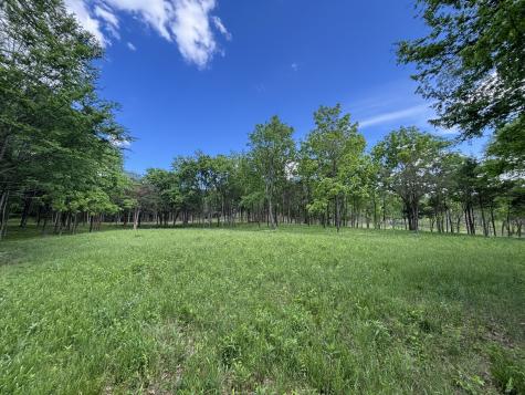9205 Bowles Road Rockvale TN 37153