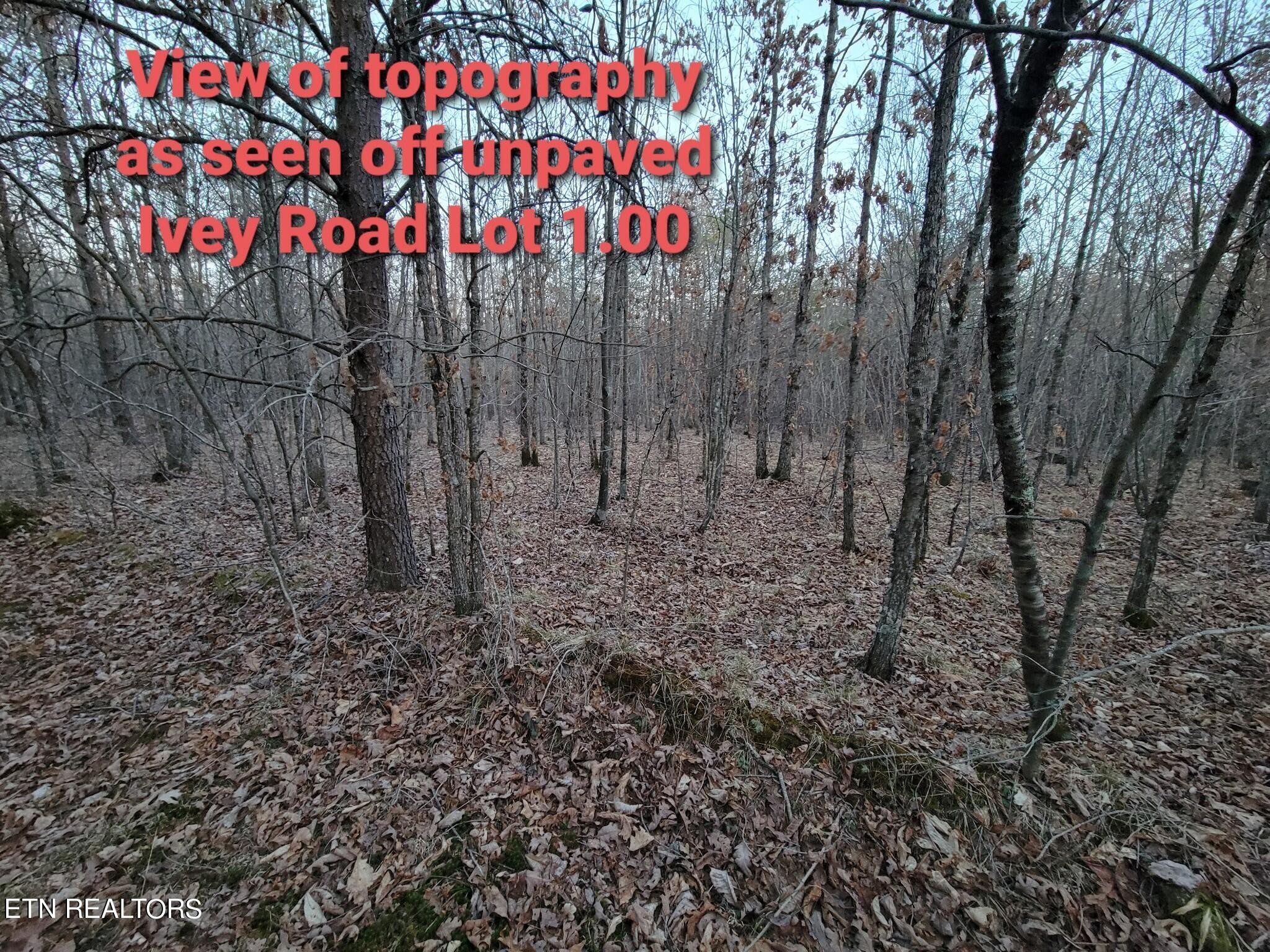 0 Ivey Road Highway 127 N Off Crossville TN 38555