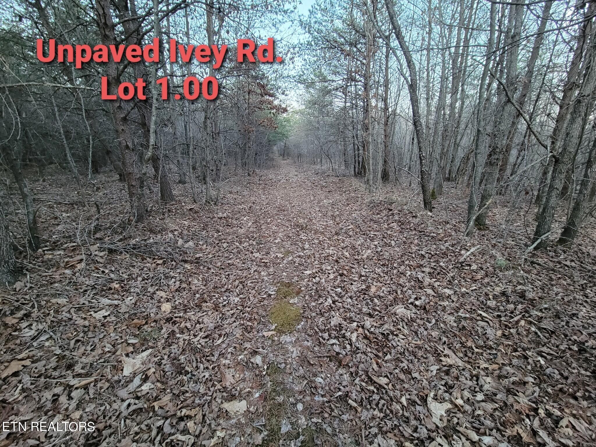 0 Ivey Road Highway 127 N Off Crossville TN 38555