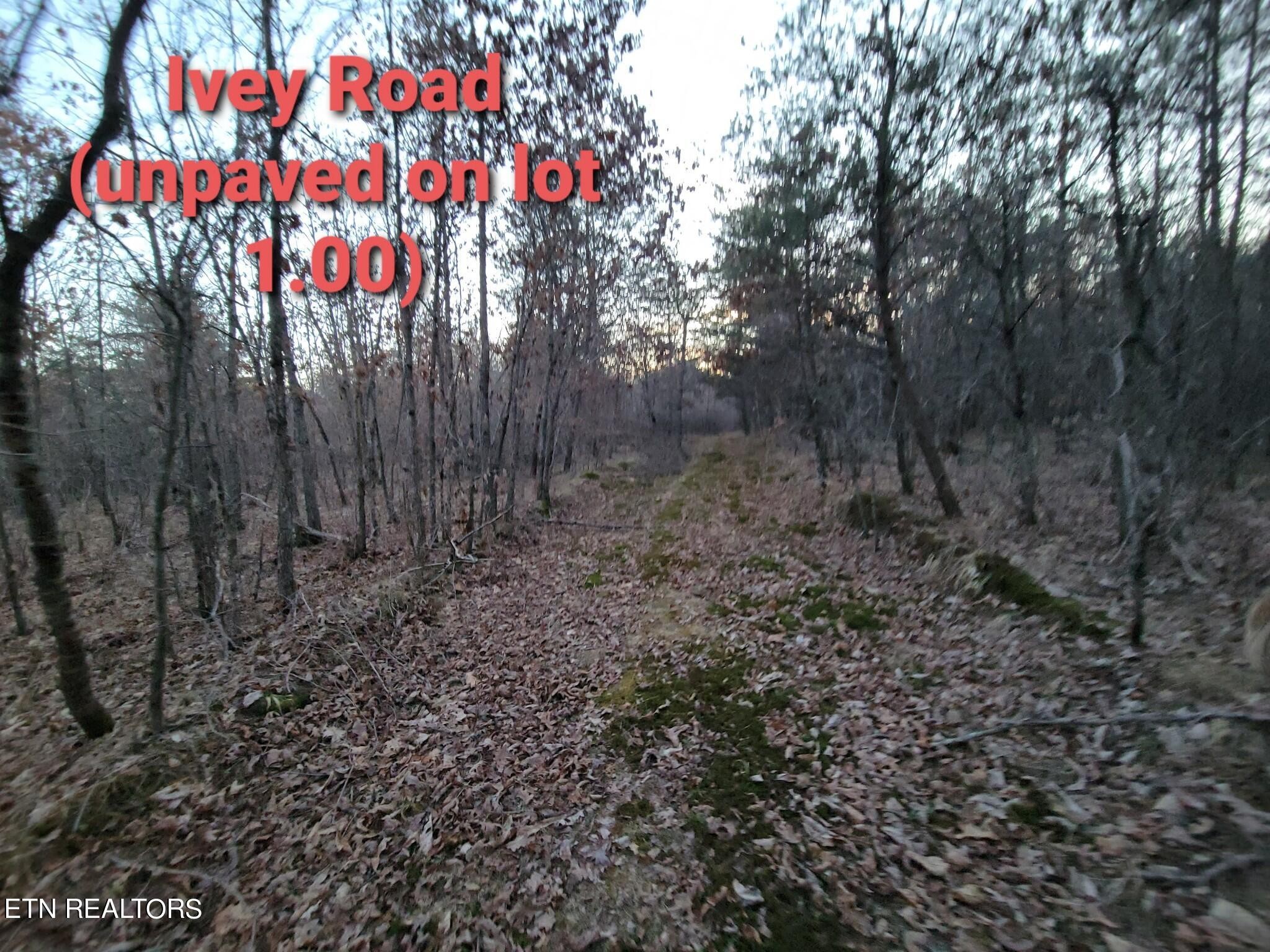 0 Ivey Road Highway 127 N Off Crossville TN 38555