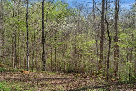 8012 Poplar Ridge Lane Primm Springs TN 38476