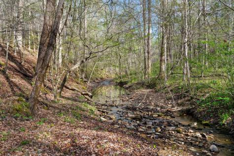 8012 Poplar Ridge Lane Primm Springs TN 38476