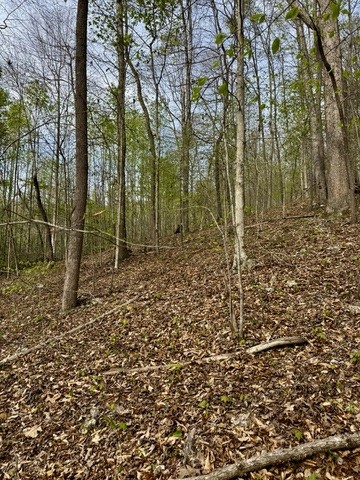 1 Lay Hollow Road Sharps Chapel TN 37866