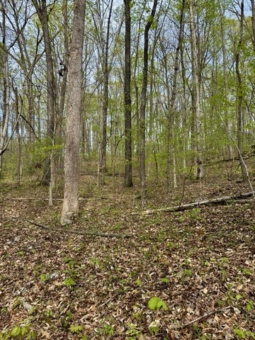 1 Lay Hollow Road Sharps Chapel TN 37866