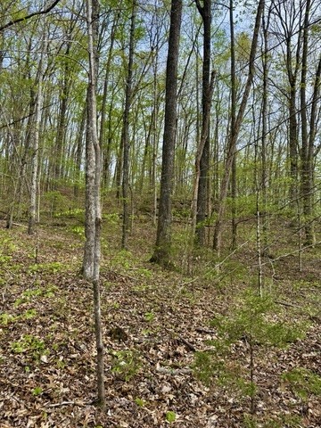 1 Lay Hollow Road Sharps Chapel TN 37866