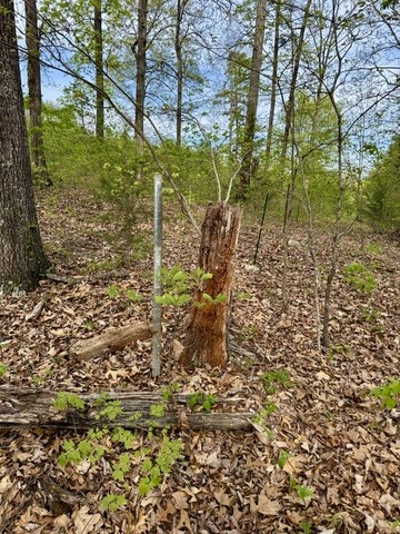 1 Lay Hollow Road Sharps Chapel TN 37866