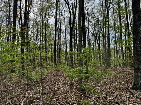 1 Lay Hollow Road Sharps Chapel TN 37866
