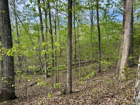 1 Lay Hollow Road Sharps Chapel TN 37866