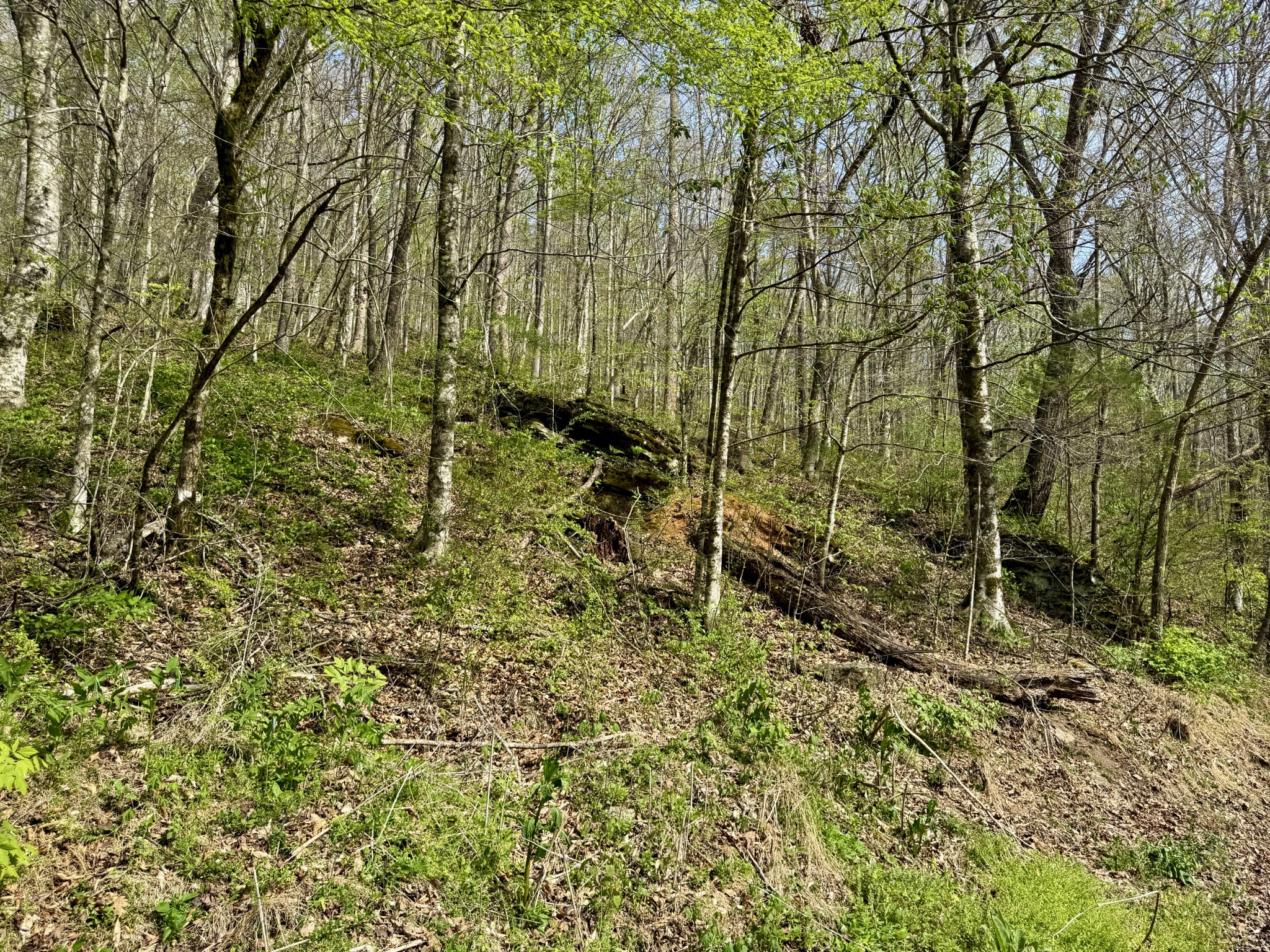 1 Lay Hollow Road Sharps Chapel TN 37866