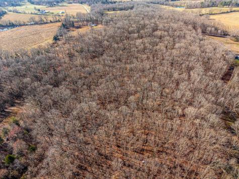 0 Dug Hill Road Fairview TN 37062