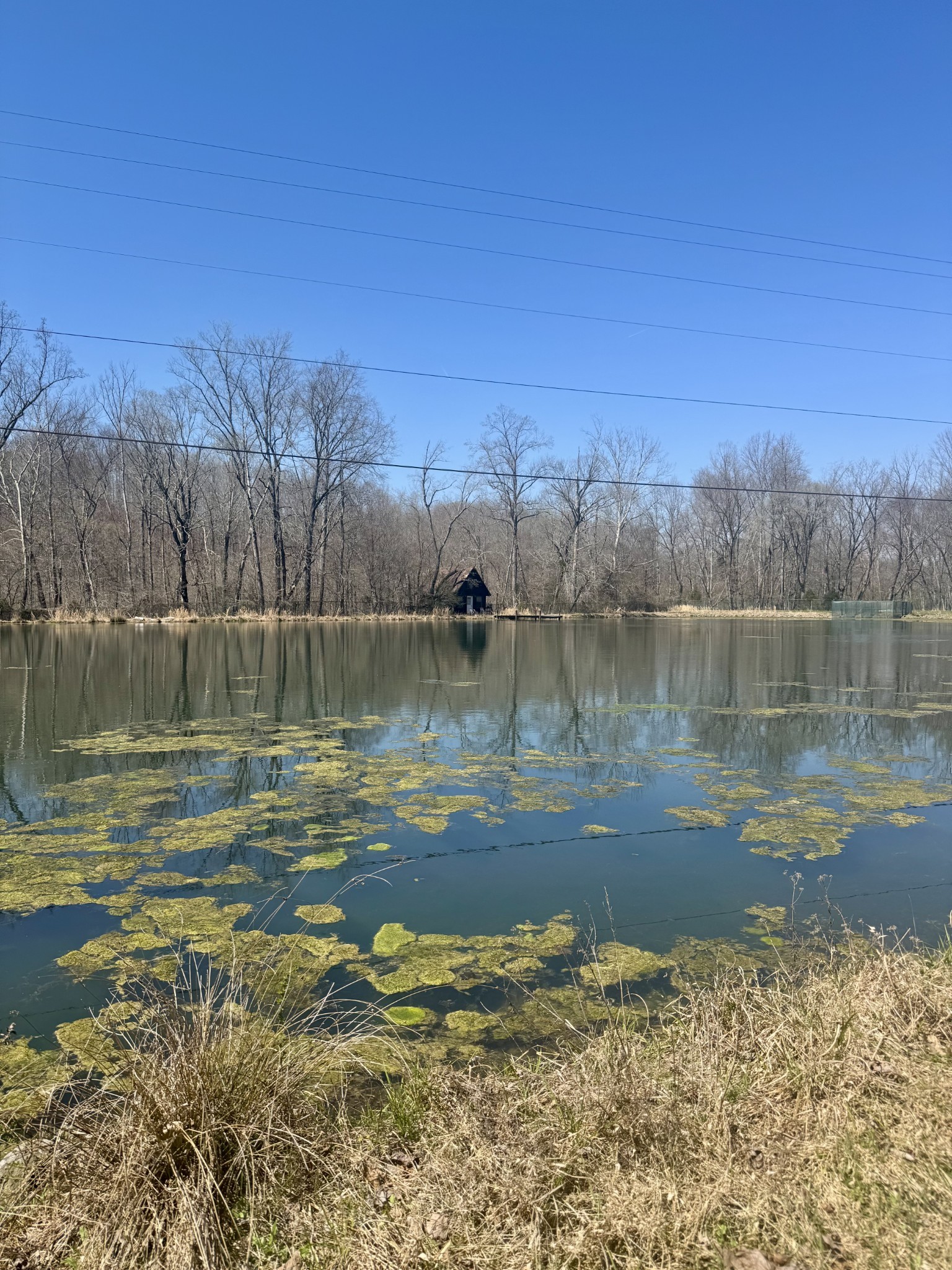 191 Forks River Road Waverly TN 37185