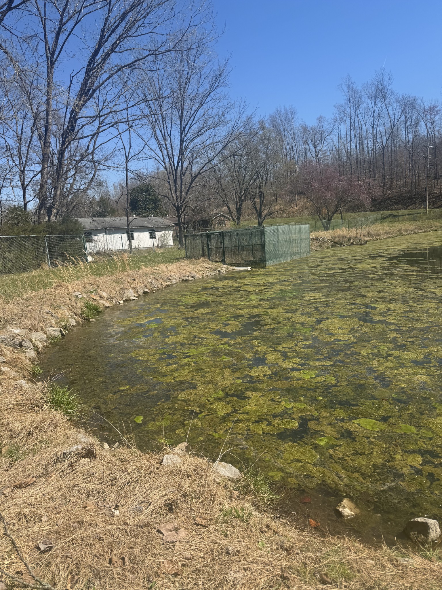 191 Forks River Road Waverly TN 37185