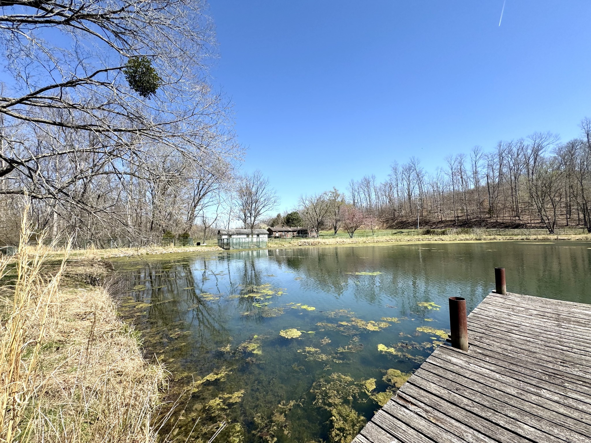 191 Forks River Road Waverly TN 37185