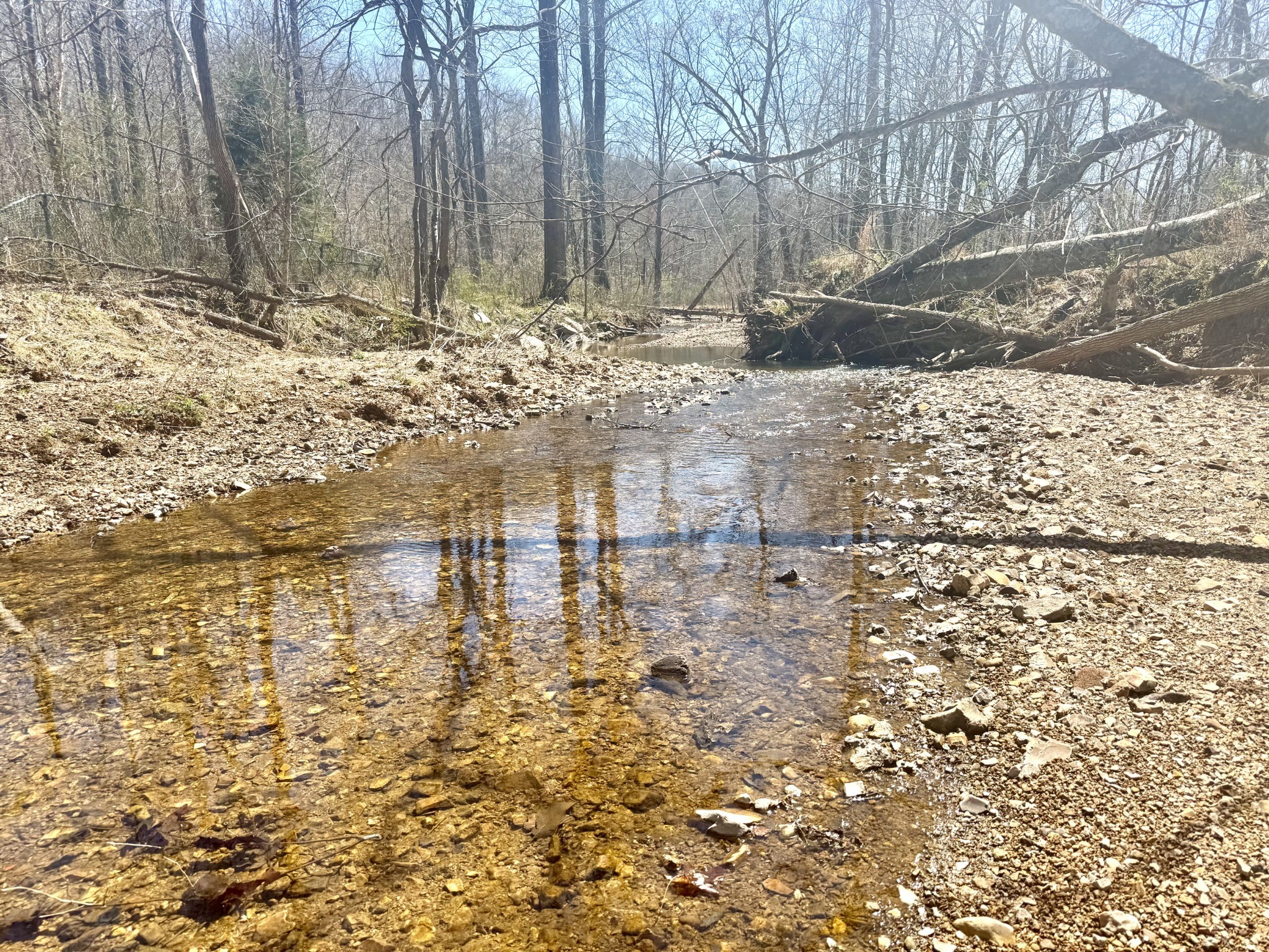 191 Forks River Road Waverly TN 37185